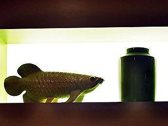Ibis Styles Centre Gare 3* Luxemburg